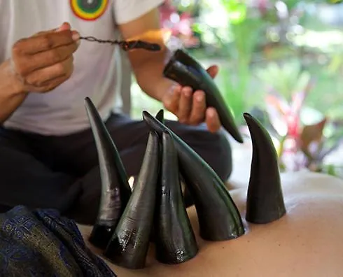 Konukevi Bali Chy Healing House